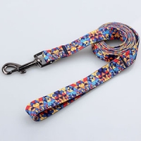 pet supplies-9a10a10
