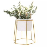 ceramic plant pots