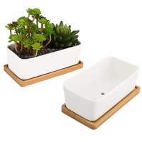 Ceramic plant pots