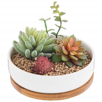 plant pot-01