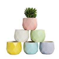 plant pot-02