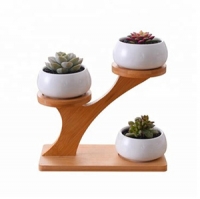 plant pot-06