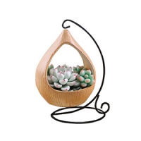 plant pot-11