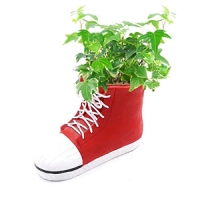 plant pot-16