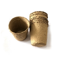 plant pot-19