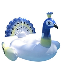 pool floats-9c18b20