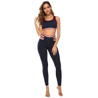 Fitness Suit