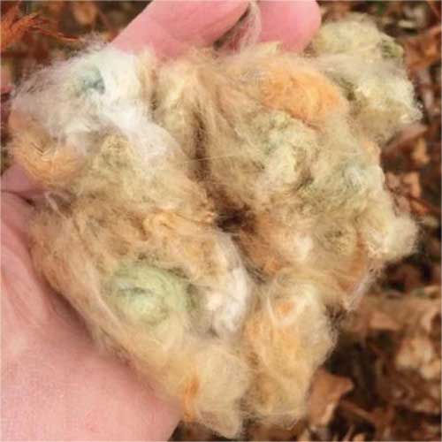 Fox-Fiber-Denim-2