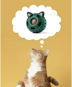 Cat pupsicle