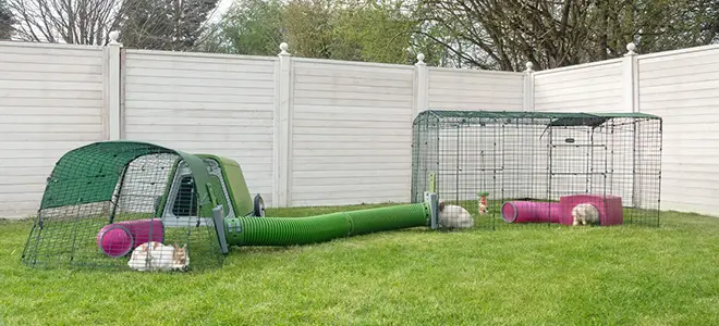 Omlet Rabbit Tunnel