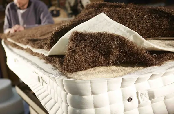 curly horsehair material serves as the comfortable layer of the mattress.
