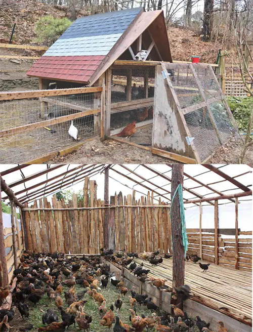 tradition chicken coop