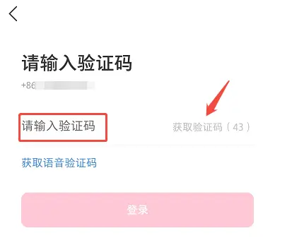 sms code input
