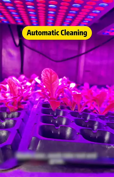 automatic cleaning equipment in hydroponic farming container