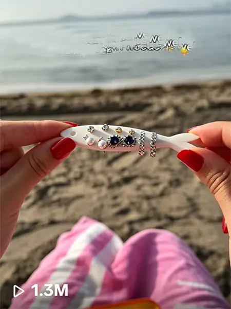 sardine-jewelry-case-tiktok-views